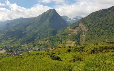 Joaquina – un viaje para recordar