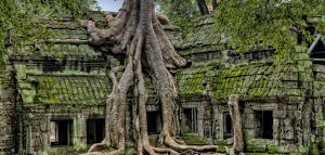 Turismo Responsable Camboya