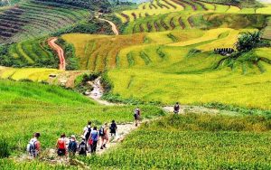 Convivencia-y-trekking-Vietnam