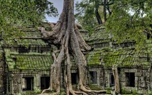 Turismo-Responsable-y-sostenible-Camboya-convivencia