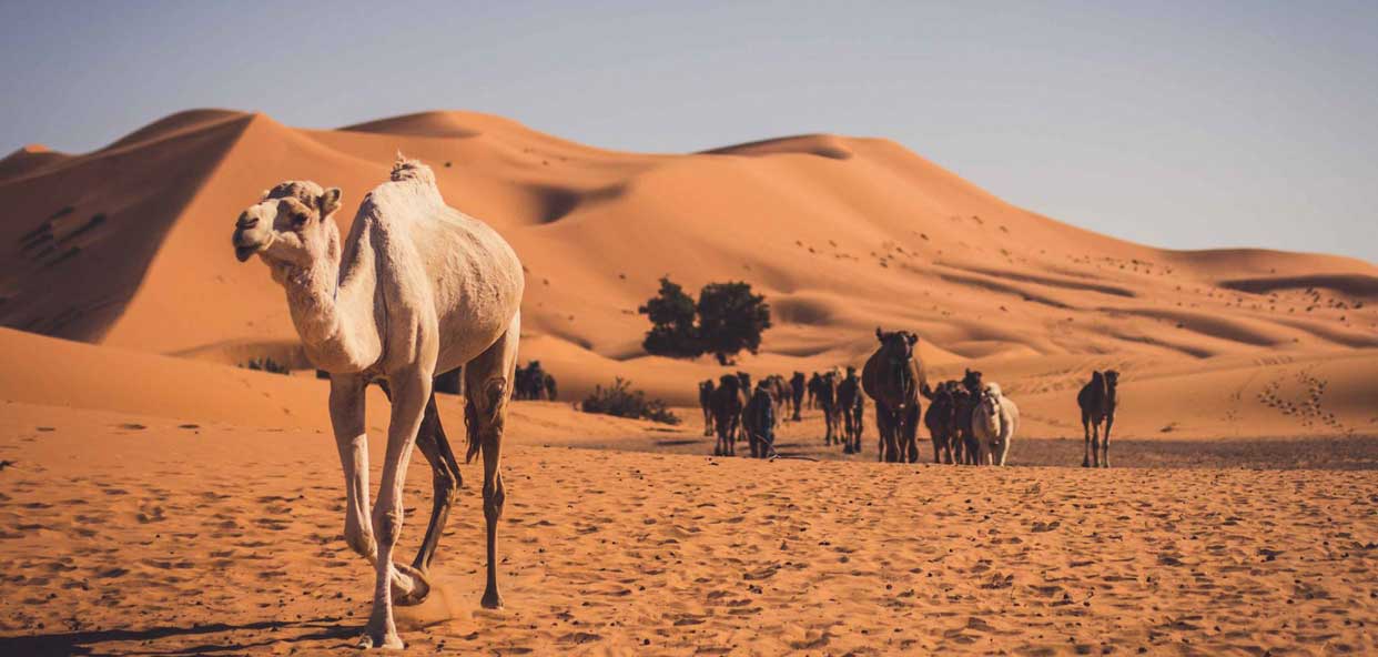 Turismo-Responsable-y-Sostenible-desierto-Marruecos