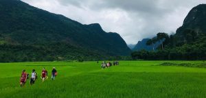 Trekking-Laos-arrozales