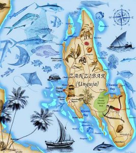 zanzibar tanzania conservacion tortugas marinas turismo responsble turismo sostenible inmersión cultural