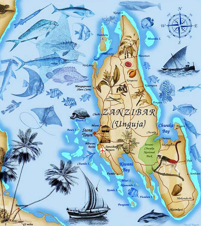 zanzibar tanzania conservacion tortugas marinas turismo responsble turismo sostenible inmersión cultural zanzibar tanzania conservacion tortugas marinas turismo responsble turismo sostenible inmersión cultural