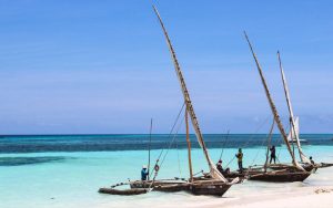 zanzibar tanzania conservacion tortugas marinas turismo responsable turismos sostenible