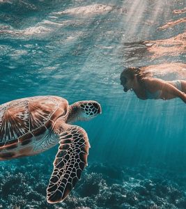 zanzibar tanzania conservacion tortugas marinas turismo responsble turismo sostenible inmersión cultural